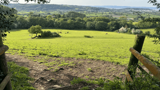 The view across the fields from a gate