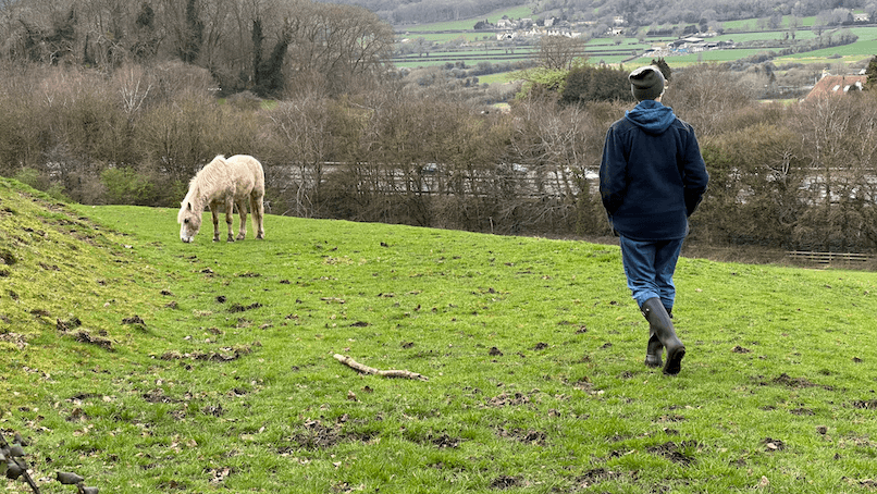 Walking with a horse across the Somerset hills